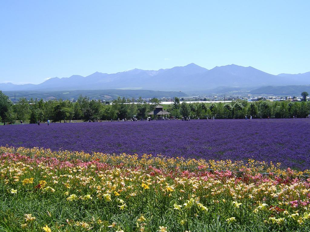 Furano Prince Hotel Exteriör bild