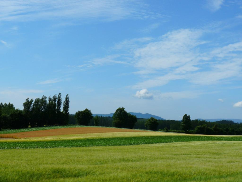 Furano Prince Hotel Exteriör bild